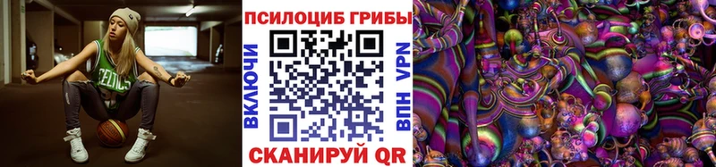 Купить  Прохладный  Галлюциногенные грибы Psilocybe 