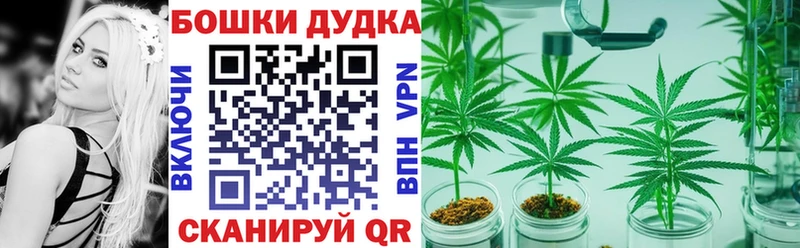 МАРИХУАНА Amnesia  Купить закладки  Прохладный 